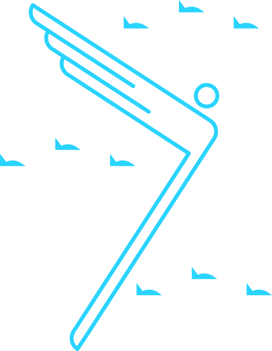 Aviation Logo